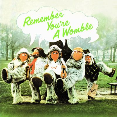Remember You're A Womble Remember You're A Womble CD