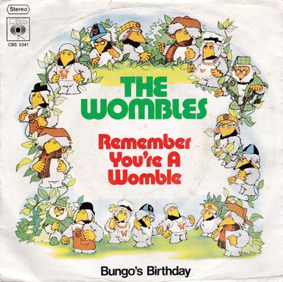 Remember You're A Womble German picture sleeve
