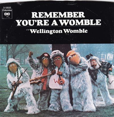 Remember You're A Womble USA picture sleeve