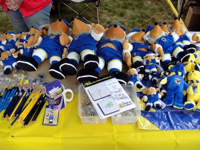 AFC Wimbledon stall at Wimbledon Village Fair